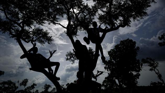 Boys sit on the branches of a tree to get a view of a match. (Ben Curtis / AP) 
