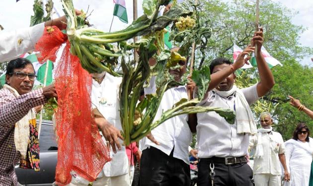 A farmers’ outfit protests against Maharashtra government seeking farm loan waiver, earlier this month. (HT File)