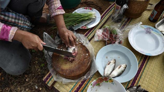 A farmer chops fresh fish for lunch in the northeastern Thai province of Khon Kaen. Millions of Thais across the rural northeast regularly eat koi pla -- a dish made of raw fish ground with spices and lime. The pungent meal is quick, cheap and tasty but it is also a favourite feast for parasites that cause a lethal liver cancer killing up to 20,000 Thais annually. (AFP) A farmer chops fresh fish for lunch in the northeastern Thai province of Khon Kaen. Millions of Thais across the rural northeast regularly eat koi pla -- a dish made of raw fish ground with spices and lime. The pungent meal is quick, cheap and tasty but it is also a favourite feast for parasites that cause a lethal liver cancer killing up to 20,000 Thais annually. (AFP)