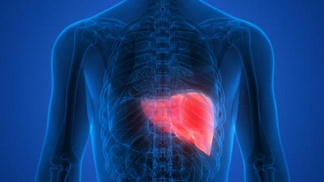 The study was published in the journal Cellular and Molecular Gastroenterology and Hepatology. (Shutterstock) The study was published in the journal Cellular and Molecular Gastroenterology and Hepatology. (Shutterstock)