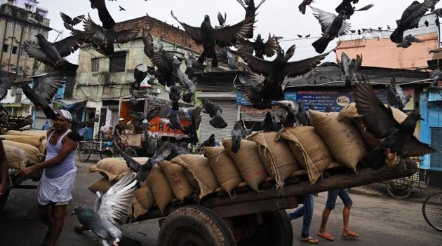 India is all set for its most ambitious reform in decades, which is expected to transform the world’s fastest growing major economy into a single market for the first time. The long-awaited Goods and Services Tax (GST) rolls out Saturday even as businesses complain they are ill-prepared for the massive changes about to ripple through India’s unwieldy $2 trillion economy. (Dibyangshu Sarkar / AFP) India is all set for its most ambitious reform in decades, which is expected to transform the world’s fastest growing major economy into a single market for the first time. The long-awaited Goods and Services Tax (GST) rolls out Saturday even as businesses complain they are ill-prepared for the massive changes about to ripple through India’s unwieldy $2 trillion economy. (Dibyangshu Sarkar / AFP)