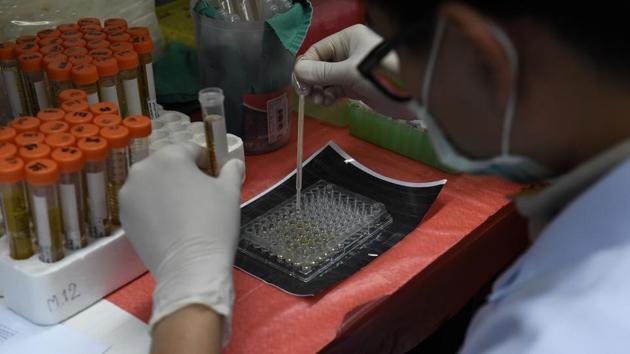 A lab technician sorts urine samples for testing for flatworms at Khon Kaen University. The initiative called CASCAP (Cholangiocarcinoma Screening and Care Program) started as research at Khon Kaen university but received full government backing last year putting it on Thailand’s national agenda. (Lillian Suwanrumpha/AFP) A lab technician sorts urine samples for testing for flatworms at Khon Kaen University. The initiative called CASCAP (Cholangiocarcinoma Screening and Care Program) started as research at Khon Kaen university but received full government backing last year putting it on Thailand’s national agenda. (Lillian Suwanrumpha/AFP)