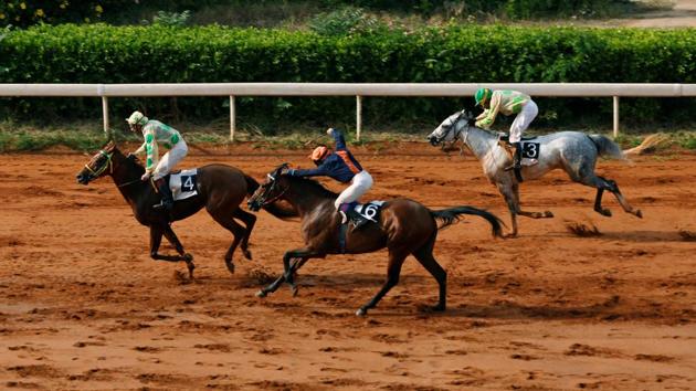 Beirut’s racecourse which hosted monarchs and movie stars in its heyday and survived Lebanon’s civil war, is struggling to secure its future after years of decline. The Hippodrome completed a 100 years in 2016 but faces tough challenges ahead owing to ageing clientele, private developers and lost revenue due to illegal gambling. In an attempt to revive its past glories, the organisers now seek younger crowds and investment from city authorities. (Jamal Saidi/REUTERS) Beirut’s racecourse which hosted monarchs and movie stars in its heyday and survived Lebanon’s civil war, is struggling to secure its future after years of decline. The Hippodrome completed a 100 years in 2016 but faces tough challenges ahead owing to ageing clientele, private developers and lost revenue due to illegal gambling. In an attempt to revive its past glories, the organisers now seek younger crowds and investment from city authorities. (Jamal Saidi/REUTERS)