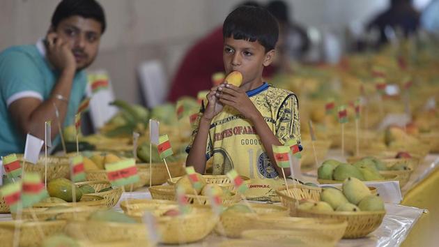 First organised in 1988, this annual fest celebrates the magnificence of the king of fruits. (Raj K Raj/HT PHOTO) First organised in 1988, this annual fest celebrates the magnificence of the king of fruits. (Raj K Raj/HT PHOTO)
