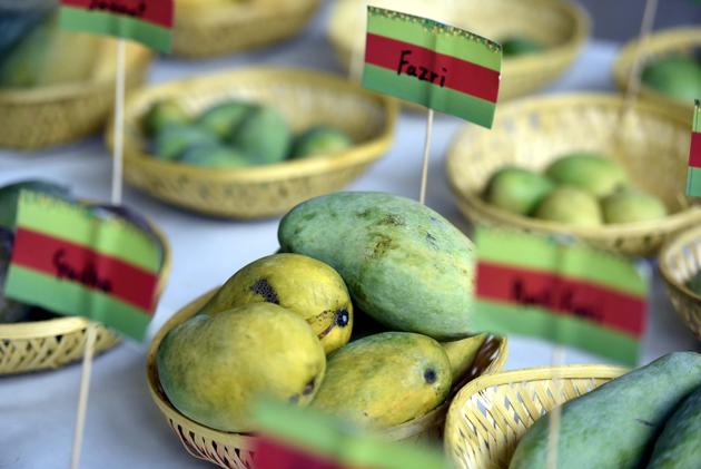 A view of the varieties of mangoes on display at the Mango Festival at Dilli Haat, Janak Puri in New Delhi. (Raj K Raj/HT PHOTO) A view of the varieties of mangoes on display at the Mango Festival at Dilli Haat, Janak Puri in New Delhi. (Raj K Raj/HT PHOTO)