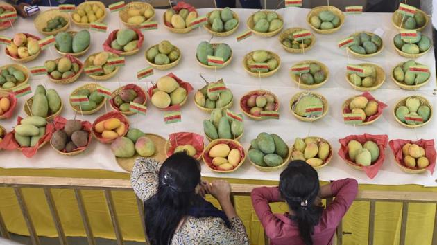 With around 500 varieties up for tasting, visitors are spoilt for choice at the festival on at Dilli Haat, Janakpuri. (Photos: Raj K Raj) With around 500 varieties up for tasting, visitors are spoilt for choice at the festival on at Dilli Haat, Janakpuri. (Photos: Raj K Raj)