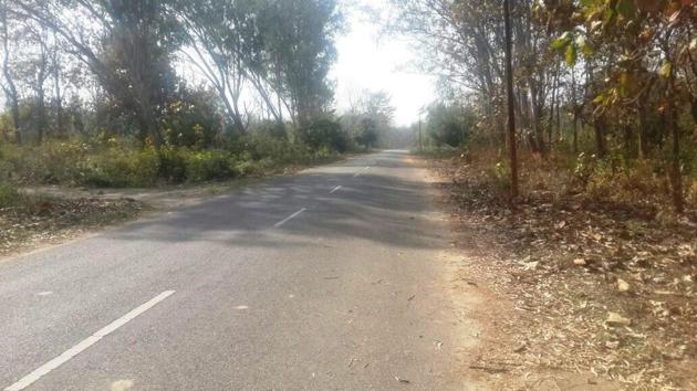 A view of the spot from where Kandi Road will be developed. (HT Photo) A view of the spot from where Kandi Road will be developed. (HT Photo)