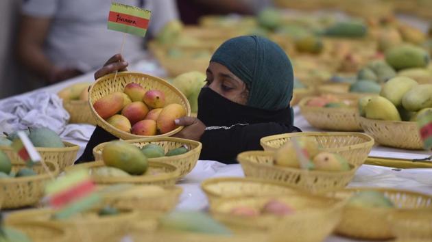 500 Variety of mangoes are displayed at the 29th Mango Festival at Dilli Haat, Janak Puri in New Delhi, India. (Raj K Raj / HT Photo)