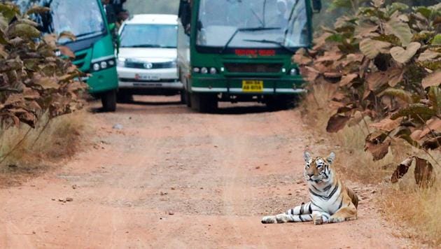 Tourists will now have access to the entire tourism zones in these national parks and sanctuaries from October 16 only.(HT FILE PHOTO) Tourists will now have access to the entire tourism zones in these national parks and sanctuaries from October 16 only.(HT FILE PHOTO)