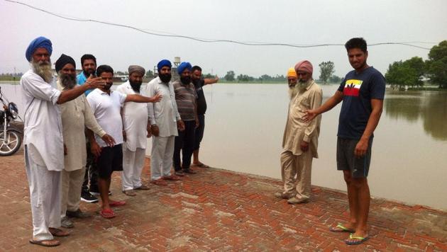 Farmers showing a submerged field in Sultanpur Lodhi on Saturday. (HT Photo) Farmers showing a submerged field in Sultanpur Lodhi on Saturday. (HT Photo)