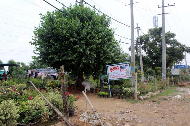 Government land off Golf Course Road has been encroached on by eateries, shops and nurseries. (Rahul Grover/HT PHOTO) Government land off Golf Course Road has been encroached on by eateries, shops and nurseries. (Rahul Grover/HT PHOTO)