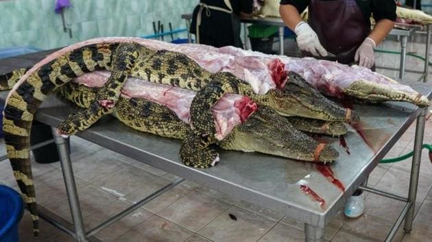Crocodile meat is sold for as much as 300 baht per kg (2.2 lb). The bile and blood of the reptile, made into pills because they are believed to have health benefits, are worth 40,000 baht and 500 baht per kg, respectively. 