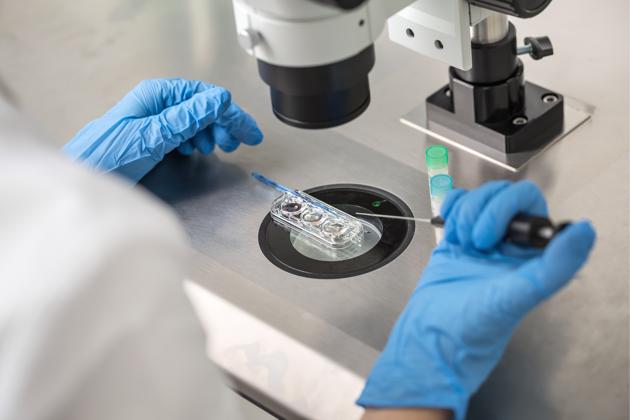 Most preconception advice for men focuses on semen quality, though studies suggest that this cannot fully ameliorate the effects of male reproductive ageing. (Shutterstock) Most preconception advice for men focuses on semen quality, though studies suggest that this cannot fully ameliorate the effects of male reproductive ageing. (Shutterstock)