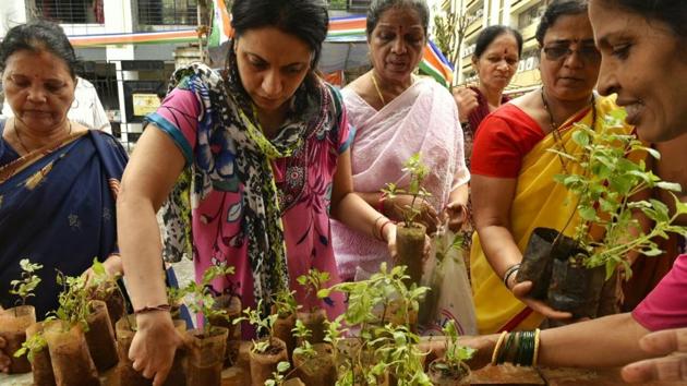 MNS workers distributed saplings Tulsi, regarded a worshipper of Vishnu, at Prabhadevi. (ANSHUMAN POYREKAR/HT) MNS workers distributed saplings Tulsi, regarded a worshipper of Vishnu, at Prabhadevi. (ANSHUMAN POYREKAR/HT)