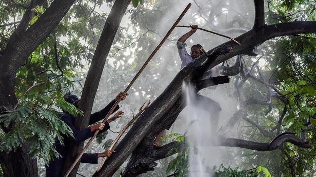 The woman attacks those approaching her. (Kunal Patil/HT Photo)