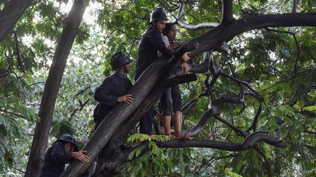 Convincing her seems to be a task. (Kunal Patil/HT Photo)