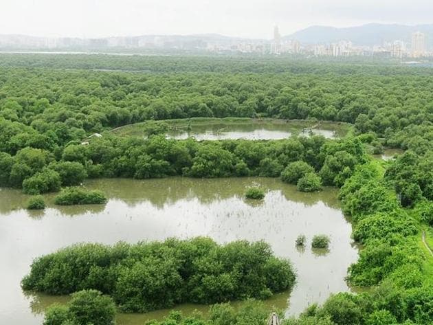 Mumbai has a mangrove cover of 277 hectares.(HT file)