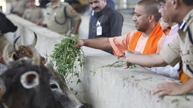UP chief minister Yogi Adityanath feeding cows during his visit at Kanha Upvan, an animal shelter run by Aparna Yadav’s NGO Jeev Ashraya. (HT File Photo) UP chief minister Yogi Adityanath feeding cows during his visit at Kanha Upvan, an animal shelter run by Aparna Yadav’s NGO Jeev Ashraya. (HT File Photo)