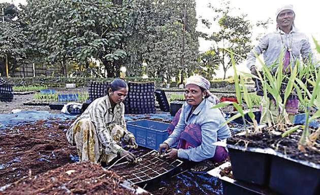 Farmers, daily wage workers bore the brunt of the demonetisation period. Confusion in deposit windows, deadlines and amounts made the process complicated for most. (HT File Photo) Farmers, daily wage workers bore the brunt of the demonetisation period. Confusion in deposit windows, deadlines and amounts made the process complicated for most. (HT File Photo)