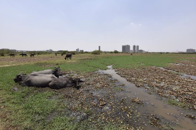 The Municipal Corporation of Gurugram (MCG) had given permission to a multinational construction firm to build a debris processing plant over 3.5 acres in Basai, near Gurgaon.(Sanjeev Verma/HT PHOTO)