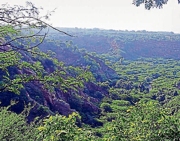 There are strict rules forbidding construction activities and cutting of trees in the Aravallis. (HT FILE) There are strict rules forbidding construction activities and cutting of trees in the Aravallis. (HT FILE)