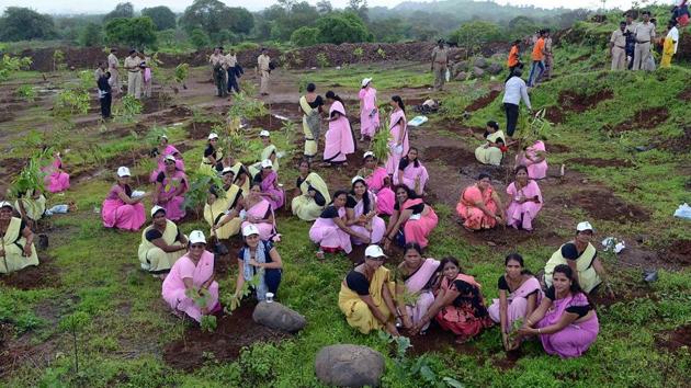 For the pink of health.   (Rishikesh Choudhary/HT PHOTO) 