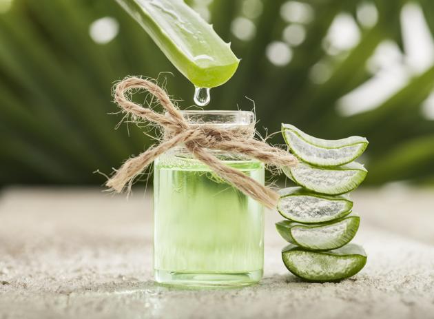 Aloe Vera juice has a cooling effect on the body from the inside (Photo: iStock) Aloe Vera juice has a cooling effect on the body from the inside (Photo: iStock)