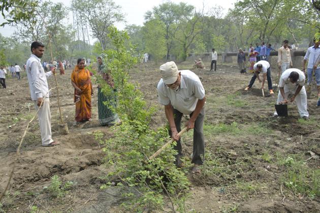 The Ghaziabad district has been given yet another target of planting of nearly 4 lakh trees this monsoon season. (Sakib Ali/ HT Photo) The Ghaziabad district has been given yet another target of planting of nearly 4 lakh trees this monsoon season. (Sakib Ali/ HT Photo)