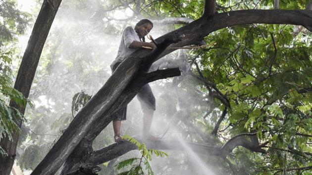 Woman created chaos near Bombay HC by climbing on tree near fountain in Mumbai. Fire Brigade team & police took more than two hours to rescue this woman. (Kunal Patil/HT Photo) Woman created chaos near Bombay HC by climbing on tree near fountain in Mumbai. Fire Brigade team & police took more than two hours to rescue this woman. (Kunal Patil/HT Photo)