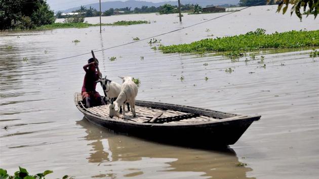 A child with his goats row his boat in the flood affected Khanamukh village in Morigaon. (PTI)