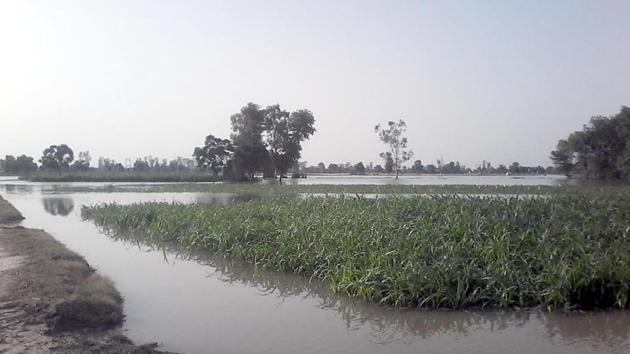Centre agreed to rename two Haryana villages after residents complained. (HT File Photo/Representative image) Centre agreed to rename two Haryana villages after residents complained. (HT File Photo/Representative image)