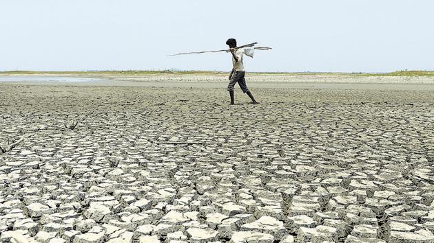 The bench was informed that farmers were forced to commit suicide because banks that lend money to them take coercive action for recovery. (AFP File) The bench was informed that farmers were forced to commit suicide because banks that lend money to them take coercive action for recovery. (AFP File)