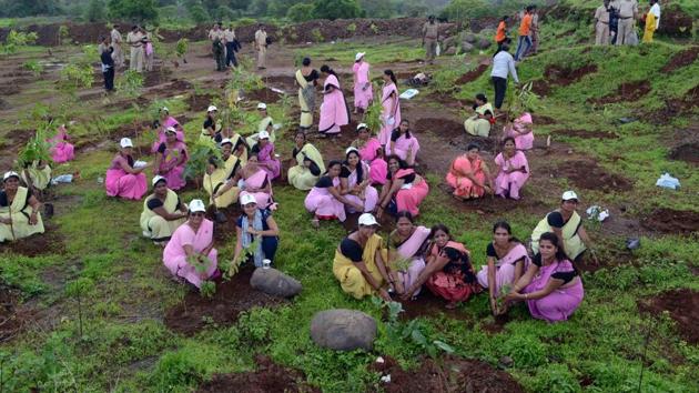 1 lakh tree plantation at village Mangrool, near Nevali, Ambernath in Kalyan. (Rishikesh Choudhary / HT Photo) 1 lakh tree plantation at village Mangrool, near Nevali, Ambernath in Kalyan. (Rishikesh Choudhary / HT Photo)