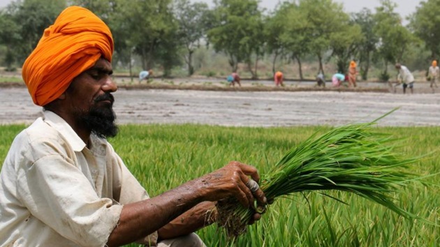 The Punjab Khet Mazdoor Union has expressed disappointment and sought waiver of loans of agricultural labourers. (Representative Image/HT Photo) The Punjab Khet Mazdoor Union has expressed disappointment and sought waiver of loans of agricultural labourers. (Representative Image/HT Photo)