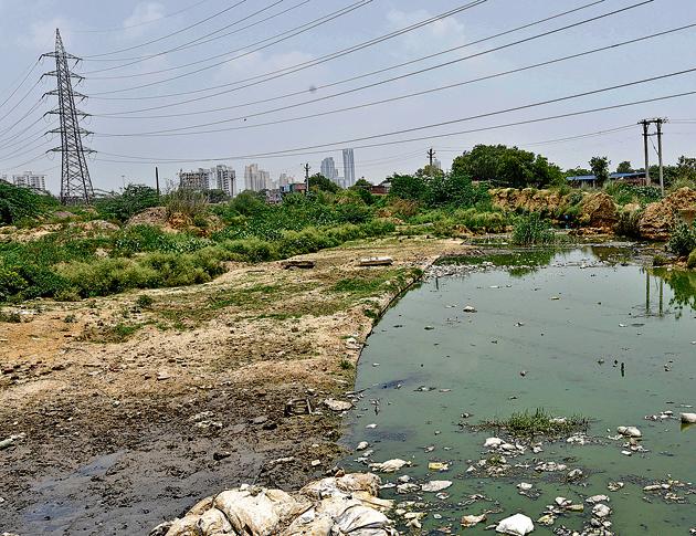 The Badshahpur drain will be transformed into a green avenue by the Huda.(Sanjeev Verma/HT PHOTO)