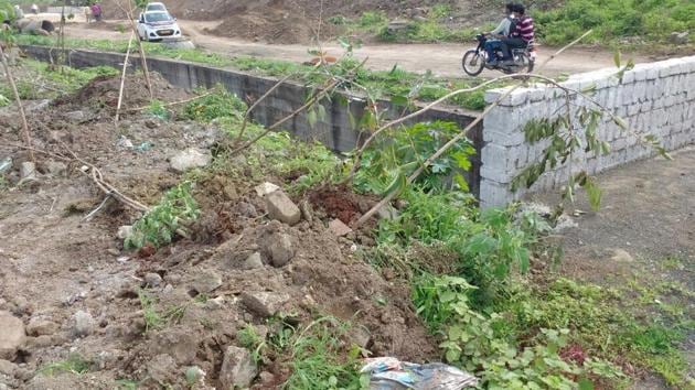 Activists have written a letter to Pune municipal commissioner and Tree Authority regarding the damage done to the saplings.(PHOTO HT)