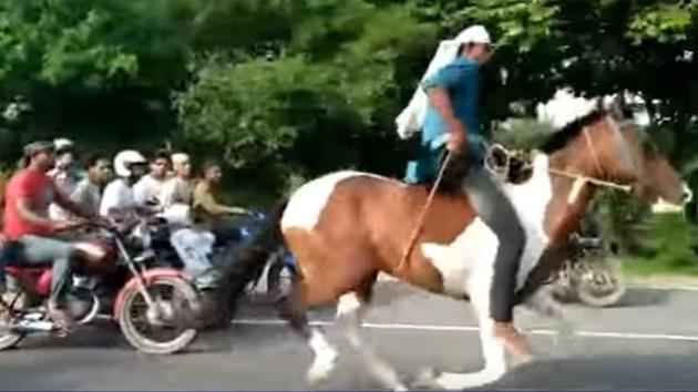 In a video shot by a passerby, two stallions — a brown one and a brown-white one — were seen galloping on the Noida-Greater Noida Expressway. In a video shot by a passerby, two stallions — a brown one and a brown-white one — were seen galloping on the Noida-Greater Noida Expressway.