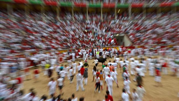 Revelers dodge a wild cow in the bull ring following at the San Fermin festival. The festival has religious origins, dating back to the Middle Ages. (Eloy Alonso / REUTERS) Revelers dodge a wild cow in the bull ring following at the San Fermin festival. The festival has religious origins, dating back to the Middle Ages. (Eloy Alonso / REUTERS)
