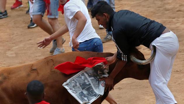 A reveller is tossed by a wild cow following the third running of the bulls at the San Fermin festival. (Joseba Etxaburu / REUTERS) A reveller is tossed by a wild cow following the third running of the bulls at the San Fermin festival. (Joseba Etxaburu / REUTERS)