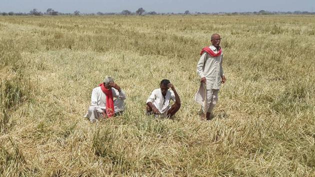 Poor output of summer crops could also raise food prices, restricting the central bank from cutting lending rates, crucial to boosting the country’s economy. (File) Poor output of summer crops could also raise food prices, restricting the central bank from cutting lending rates, crucial to boosting the country’s economy. (File)
