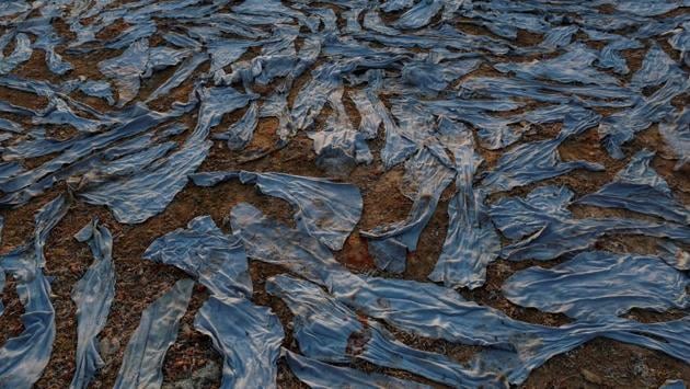 Dyed leather pieces set out to dry near the banks of the river Ganga in Kanpur, Uttar Pradesh. Industrial waste and effluents from towns and cities along the Ganga makes their way into the water. (Danish Siddiqui / Reuters) Dyed leather pieces set out to dry near the banks of the river Ganga in Kanpur, Uttar Pradesh. Industrial waste and effluents from towns and cities along the Ganga makes their way into the water. (Danish Siddiqui / Reuters)