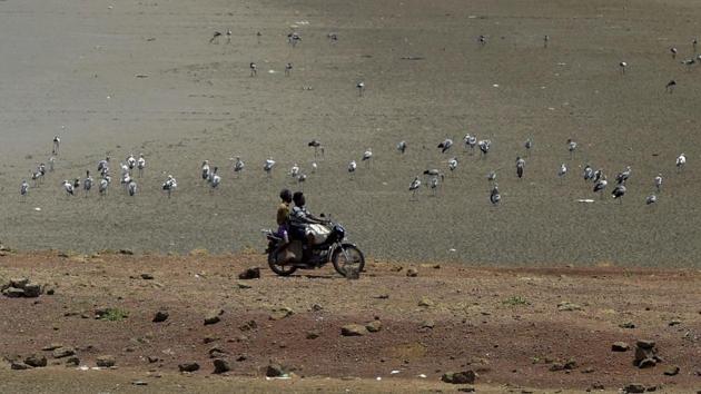 For the last six years, the region of the Cauvery delta in Tamil Nadu, known as the rice bowl of South India, has been devastated by water scarcity during the summer months. (R Senthil Kumar/ PTI) For the last six years, the region of the Cauvery delta in Tamil Nadu, known as the rice bowl of South India, has been devastated by water scarcity during the summer months. (R Senthil Kumar/ PTI)