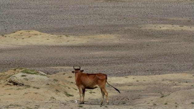 With Tamil Nadu reeling under severe drought, the government faces a formidable challenge in meeting drinking water needs. (R Senthil Kumar/ PTI) With Tamil Nadu reeling under severe drought, the government faces a formidable challenge in meeting drinking water needs. (R Senthil Kumar/ PTI)