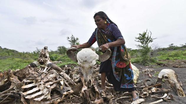 Family of Balu Sarvaiya, who was one of the victims of the flogging, skin dead animals for a living.(Arun Sharma / Hindustan Times)