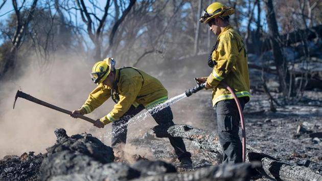 Bryce Briare (R) and Mike Manibusan (L) with the Marin County Fire Deptartment work on a smoldering hotspot as firefighters continue to build towards containment of the Wall fire in Oroville, California . (JOSH EDELSON / AFP) 
