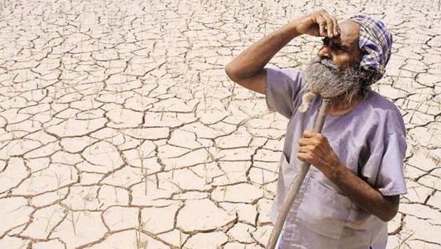 HT Representative Image HT Representative Image