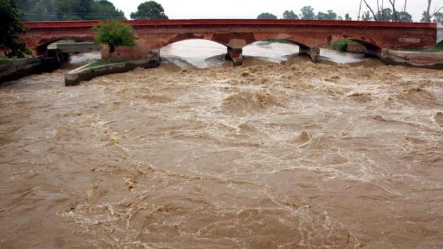 Yamuna river water level rose to danger mark in Karnal.(HT Photo)
