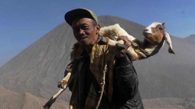 A villager carries his goat to be made as an offering to Mount Bromo. The festival’s origins are believed to have begun during the Majapahit kingdom. (Zabur Karuru  / REUTERS) 