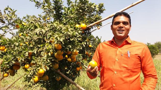 J P Chhayal, a high school teacher at his orange farm in Kadiya village.(Mujeeb Faruqui/HT Photo)