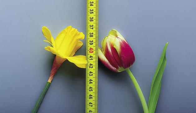 When staying in sounds better than going out, when a walk seems more doable than a full-throttle jog, that’s when you know that middle age struck(iStock)
